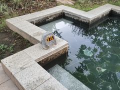 -清远熹乐谷温泉度假酒店