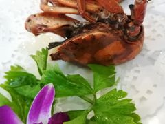 -友强·23年特色海鲜大排档(厦门店)