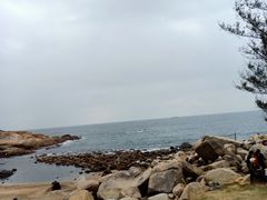 -广东惠东海龟国家级自然保护区