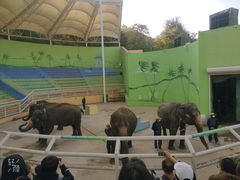 -大连森林动物园