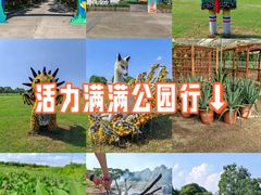 -上海都市菜园