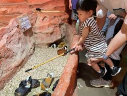 -Zoolung Zoolung动物主题公园(海信广场店)