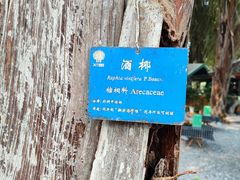 -中国科学院西双版纳热带植物园
