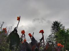 -威勒比开放式动物园