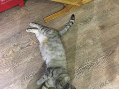 -小时光咖啡馆(开森度假森林店)
