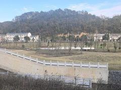 -千年银杏谷文化旅游区