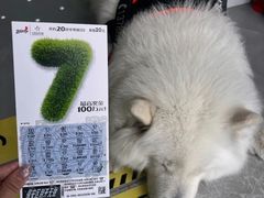 -中国体育彩票(竞彩店)