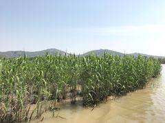 -长兴太湖图影湿地文化园