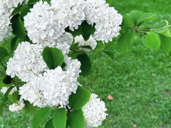 -玄武湖景区-情侣园游乐场