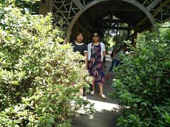 -铁山坪森林公园