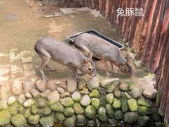 -呀路古热带植物园