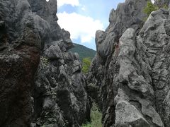 -千岛湖石林