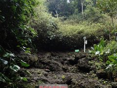 -海口火山口国家地质公园