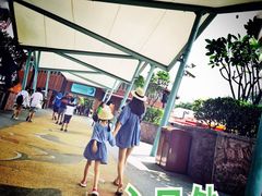-新加坡水上探险乐园
