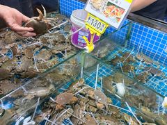 -都斛海鲜街