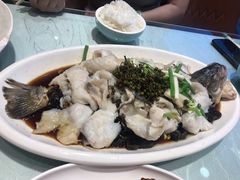 鲜花椒鲈鱼-正阳春烤鸭(华捷道店)