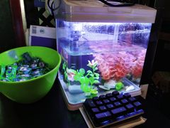 -李老爹香辣蟹(宣武门店)