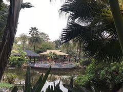 -厦门日月谷温泉渡假村