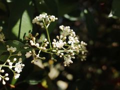 -滨湖塘西河公园