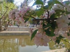 -海棠花溪(元大都城垣遗址公园)