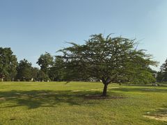 -华南国家植物园-售票处