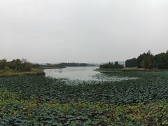 -东湖落雁景区