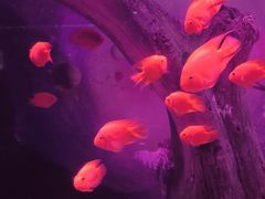 -常州海昌海洋探索馆