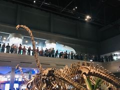 -自贡恐龙博物馆