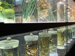 -广东中医药博物馆