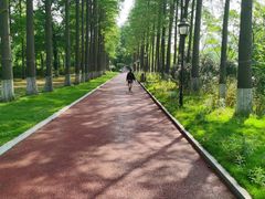 -三江森林温泉度假区