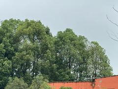 -重庆和泰马术俱乐部