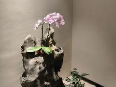 -翁暖茶馆(滨江东总店)
