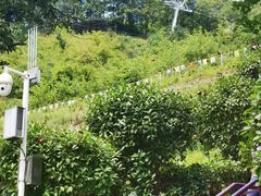 -栾川竹海野生动物园