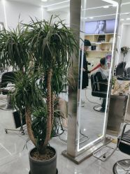 点击看大图 -Coo Hair salon