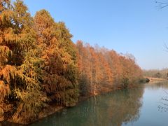 -上海海湾国家森林公园