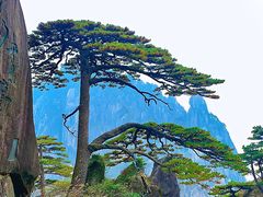 -黄山风景区