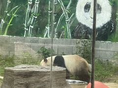-南昌动物园