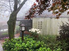 -茶颜悦色(岳麓山顶店)