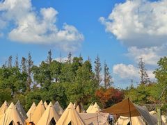 -上海长兴岛郊野公园