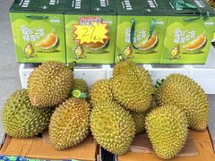 -华威西营里农产品批发市场
