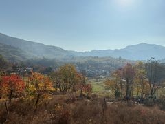 -塔川景区