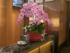 -手佳·水疗汇(杏林宁宝店)