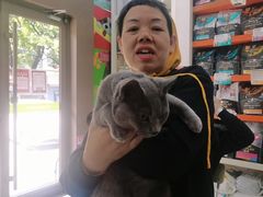 -瑞鹏宠物医院·微创内窥镜·骨外科·牙科(翠竹分院)