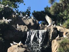 -燕塞湖鸟语林景区