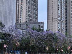 -成都市活水公园