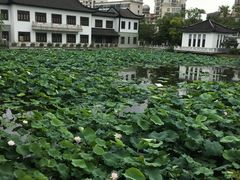 -南通濠河风景名胜区