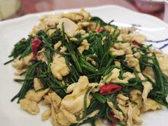 沙葱炒鸡蛋-国强手抓(北京西路店)