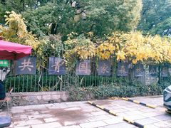 -上海共青森林公园