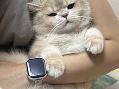 -瑞鹏宠物医院·宠保定点·心脏科·内科(御桥分院)