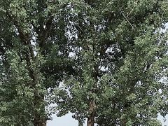 -天津武清北运河郊野公园房车露营地